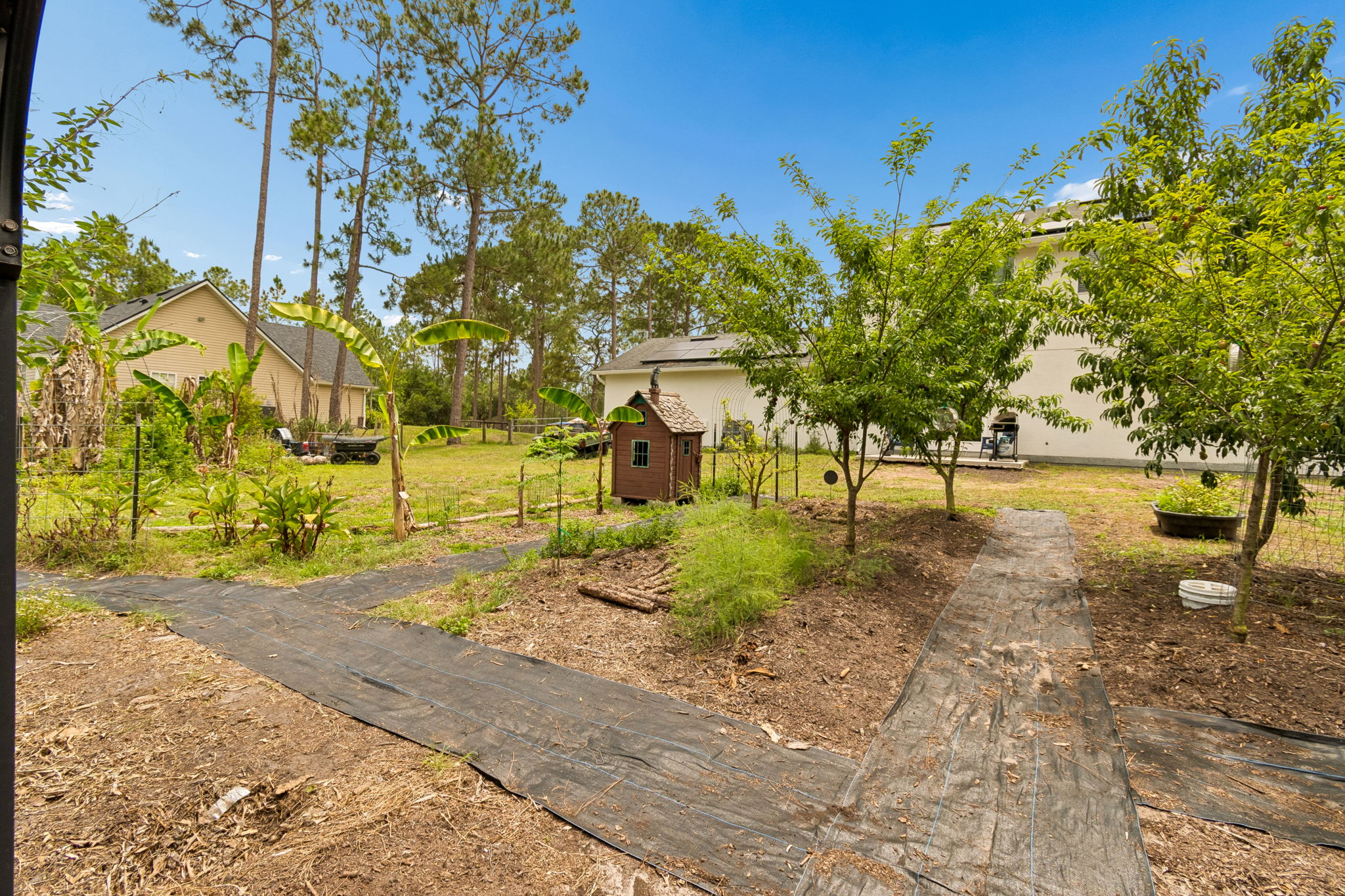 Back Yard/Food Forest