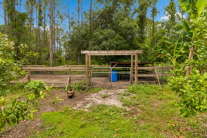 Back Yard/Pigpen