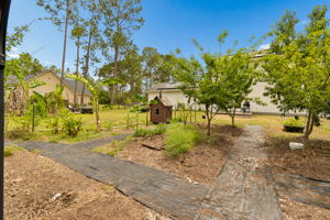 Back Yard/Food Forest