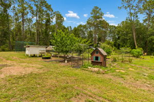 Food Forest