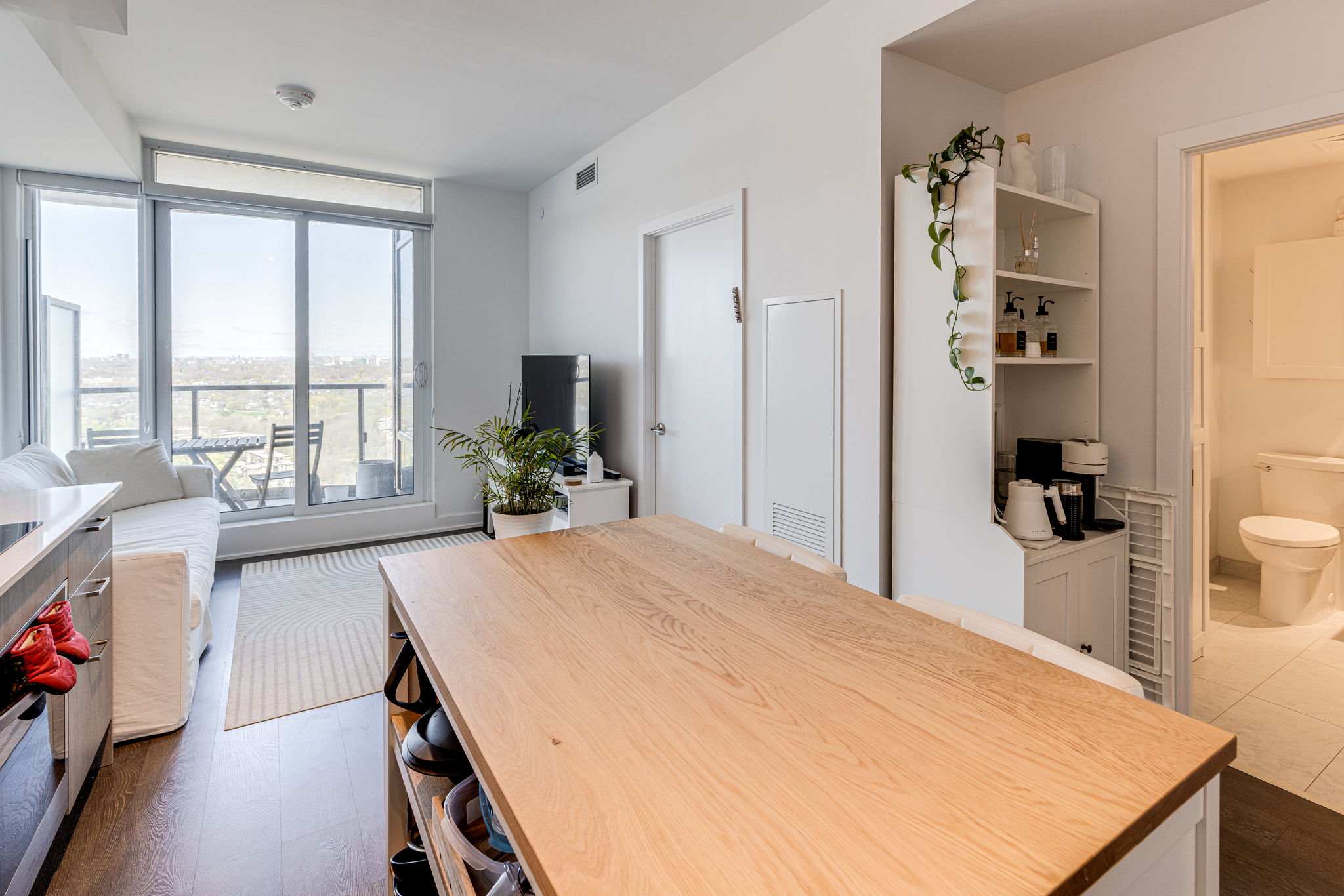 Toronto property showcase — delivered property photograph 9