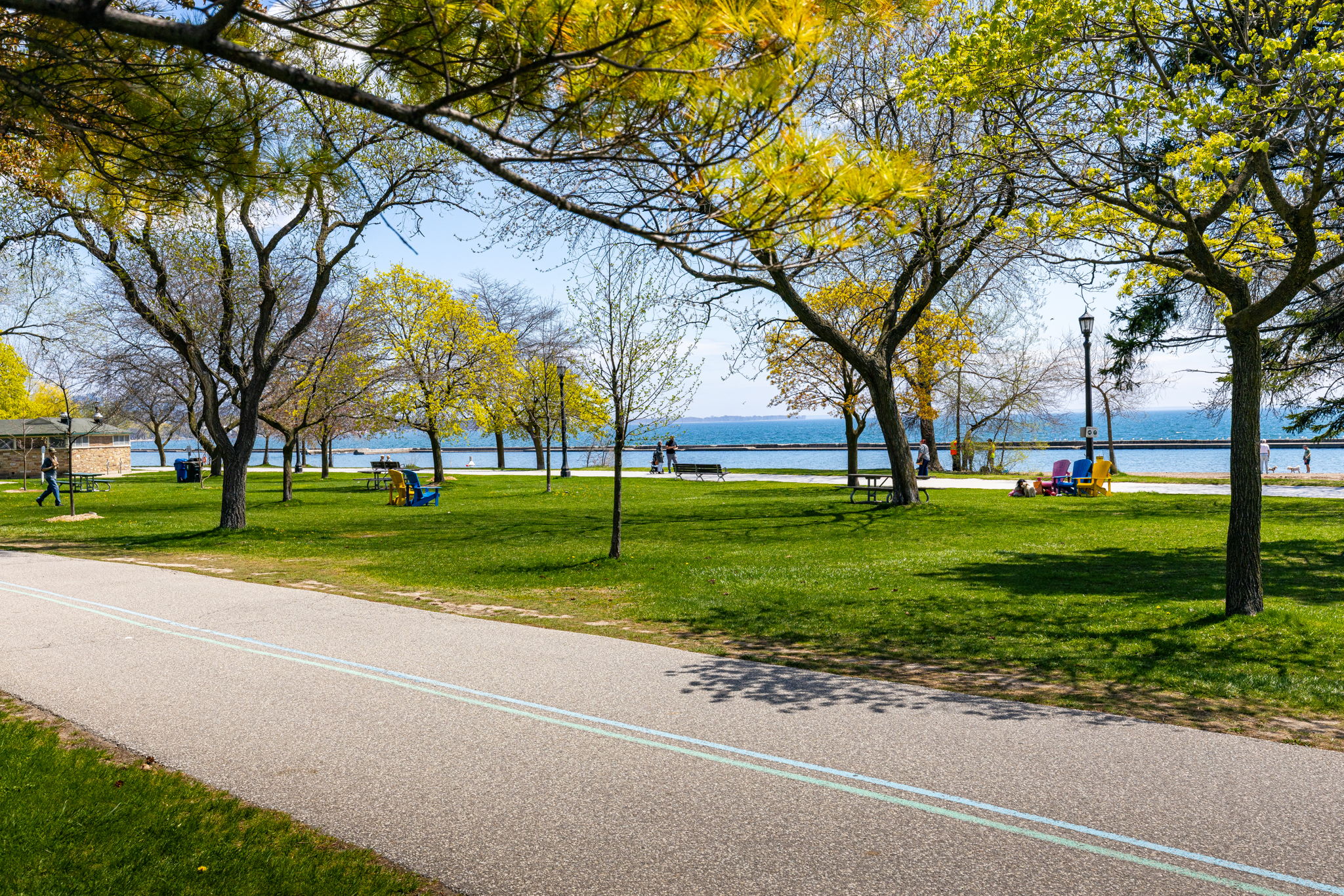 Toronto property showcase — delivered property photograph 30