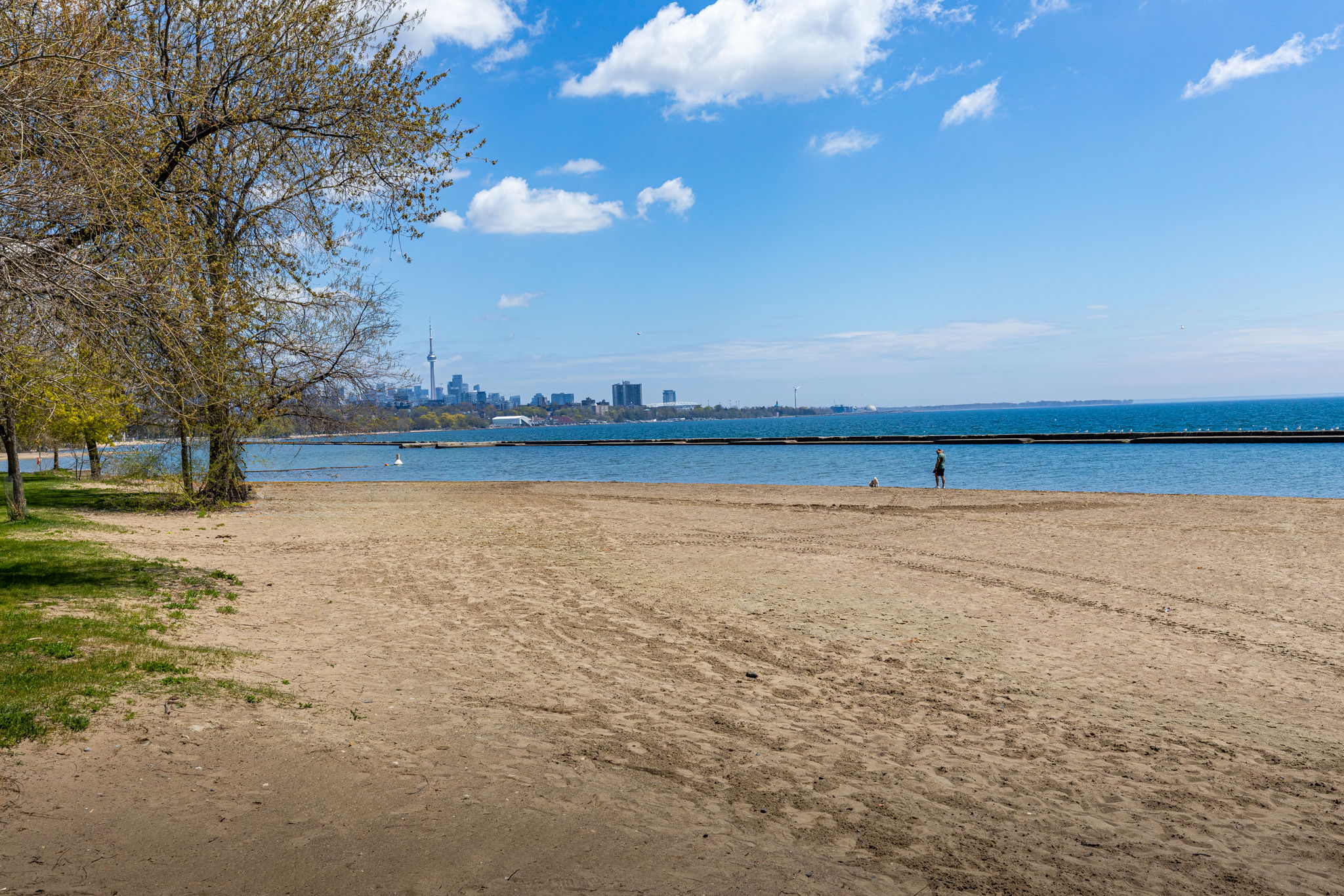 Toronto property showcase — delivered property photograph 31