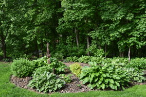  Photo 47