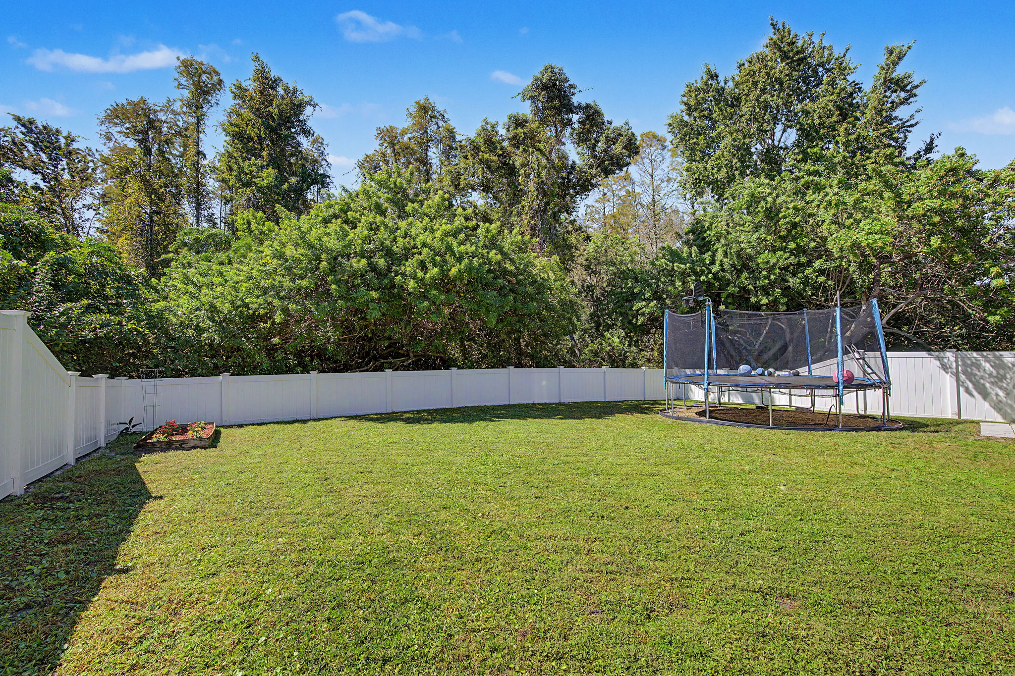 Backyard1