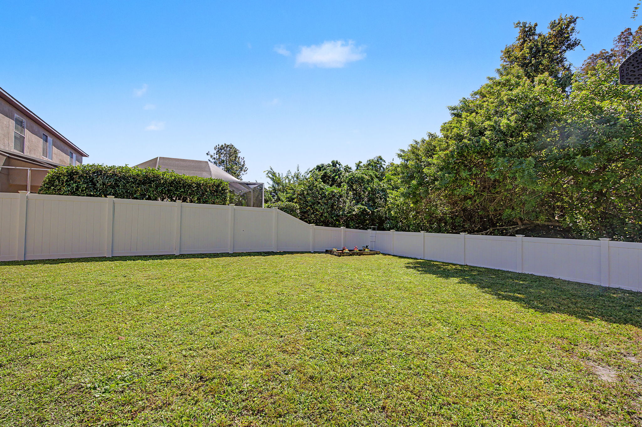 Backyard6
