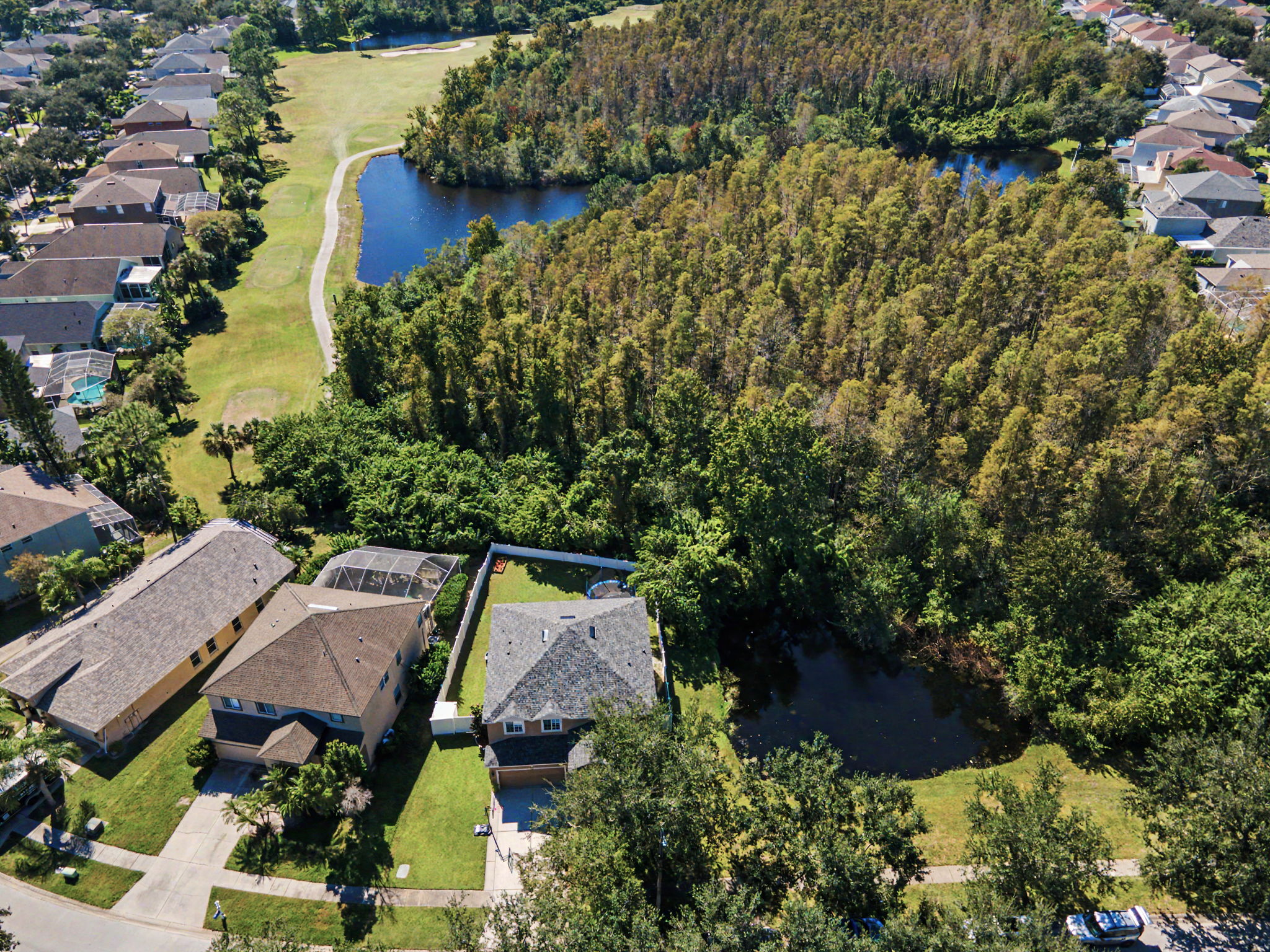 Aerial (6)