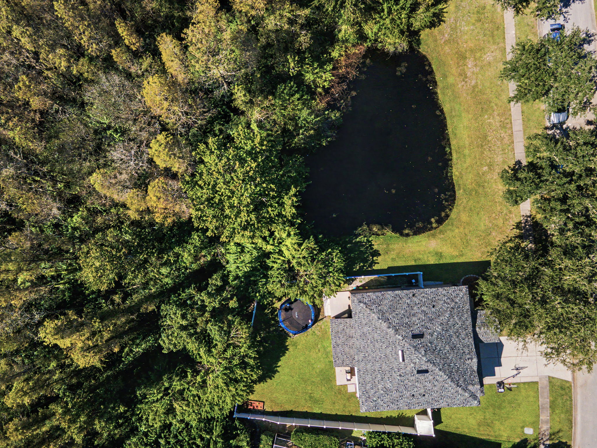 Aerial (18)