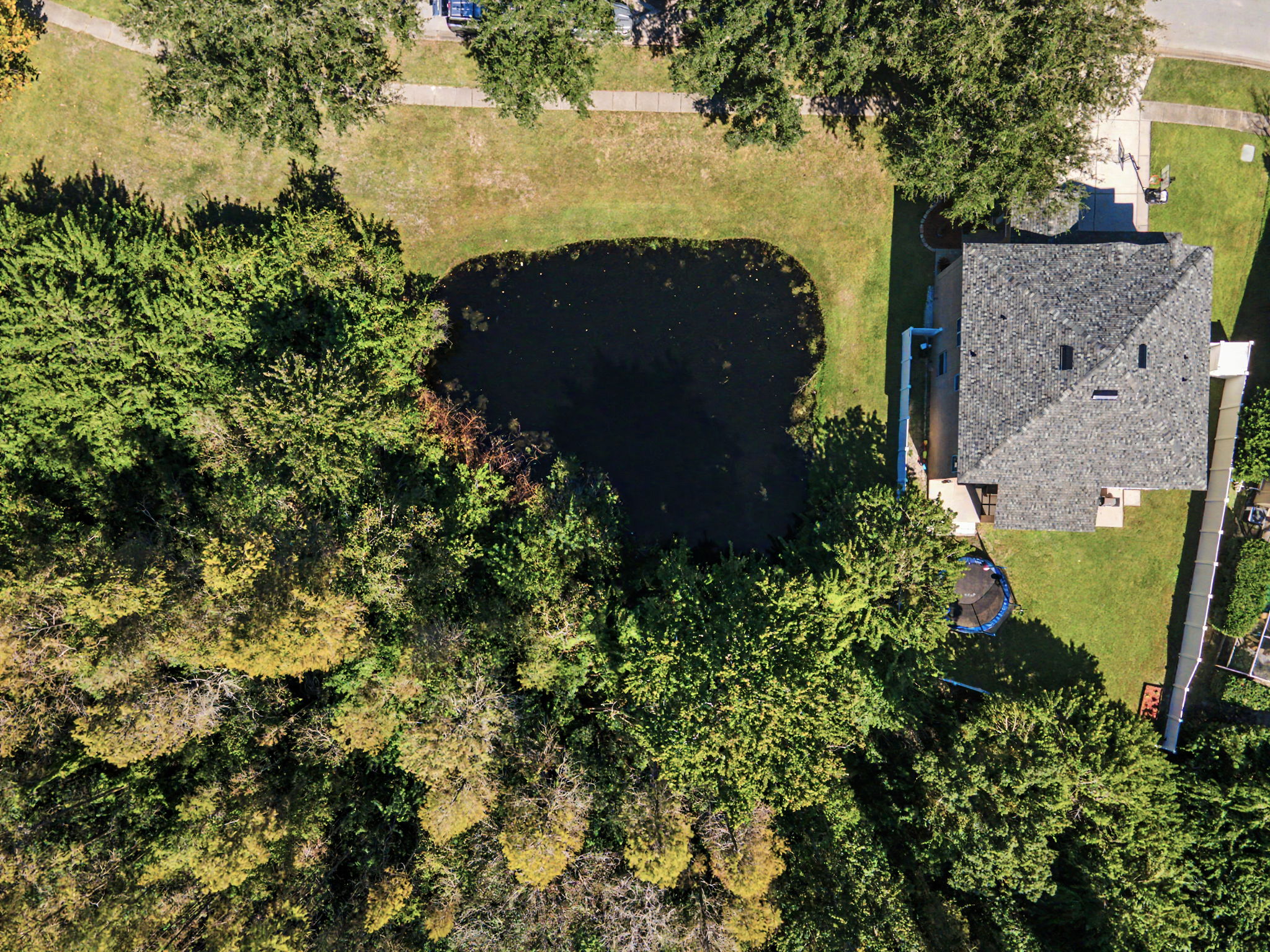 Aerial (20)