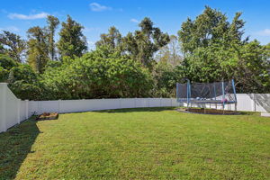 Backyard1