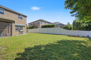 Backyard3
