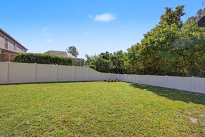 Backyard6