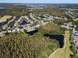 Aerial (12)