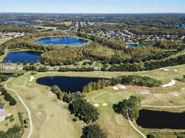 Aerial (14)
