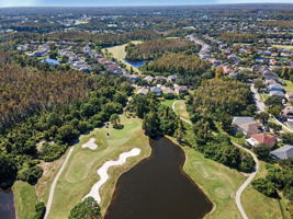 Aerial (16)