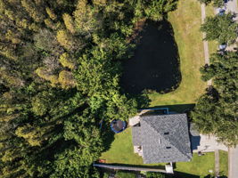 Aerial (18)