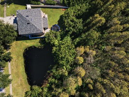 Aerial (19)