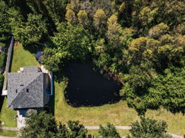 Aerial (21)