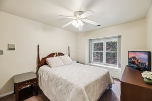 Amberstone Ct-S0110-019.jpg