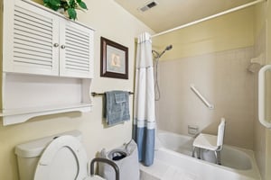Amberstone Ct-S0110-029.jpg