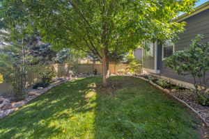 Fenced Yard Provides Privacy