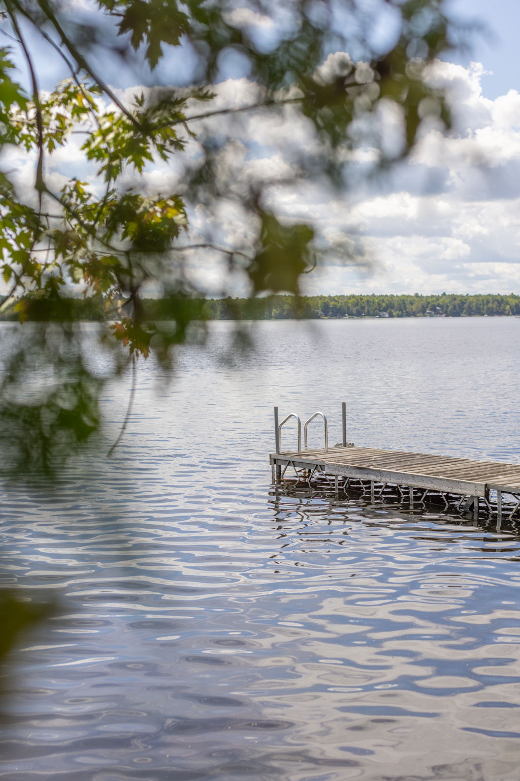  Photo 56