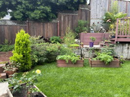  Photo 42