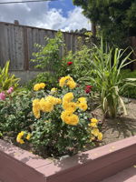  Photo 44