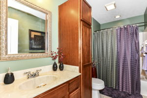 Photo 43