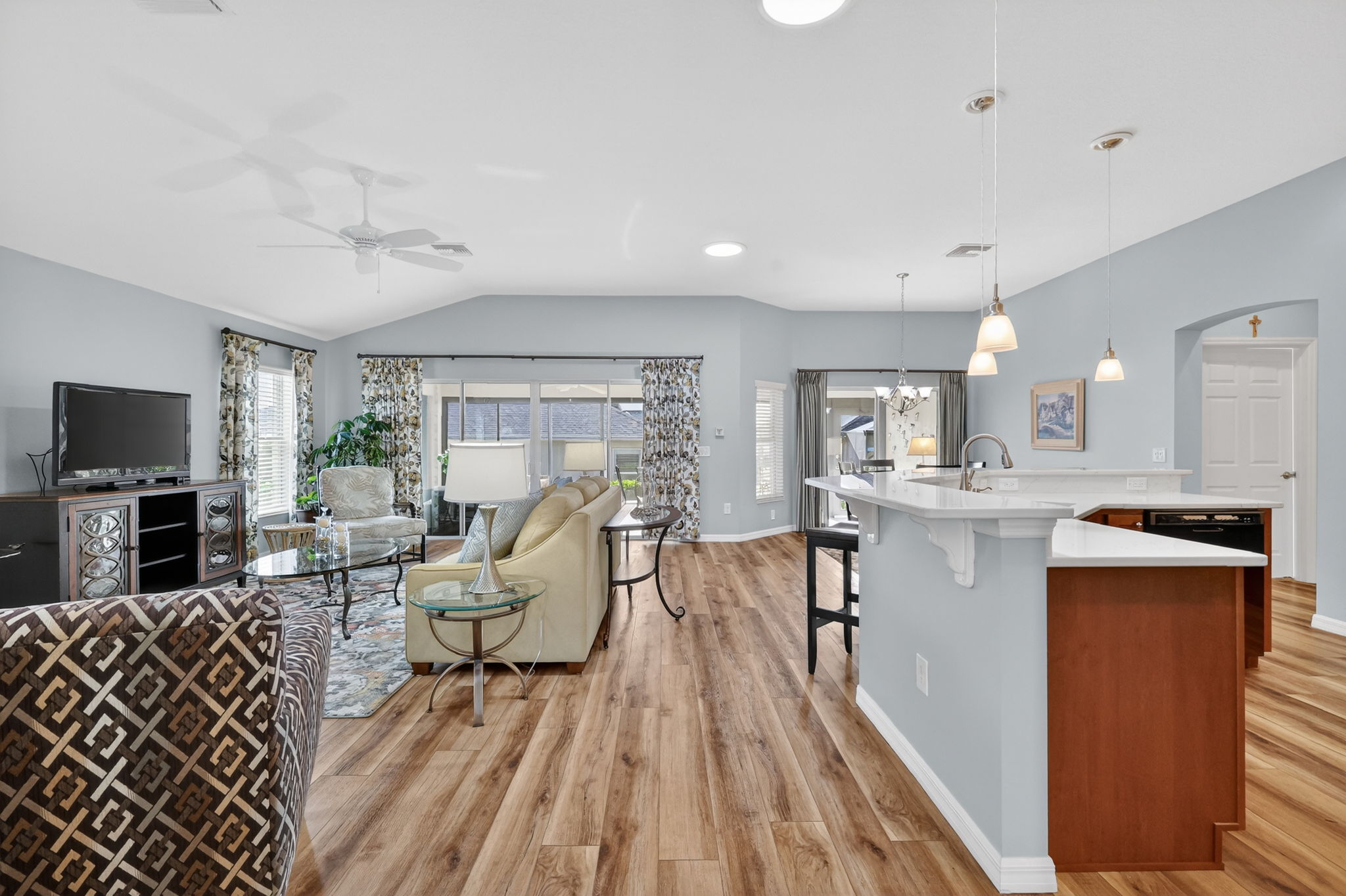 Living Room and Kitchen