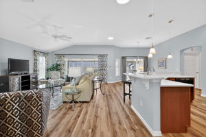 Living Room and Kitchen