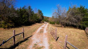  Photo 44