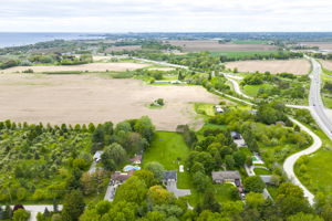  Photo 41