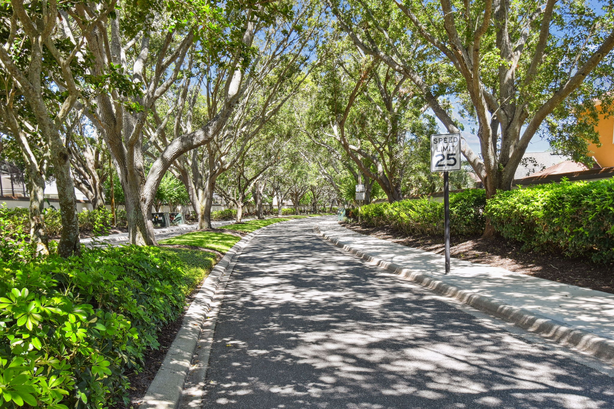 Shady tree lined boulevarde leads to home