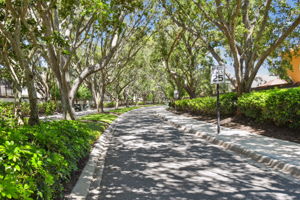 Shady tree lined boulevarde leads to home