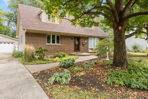  Photo 0