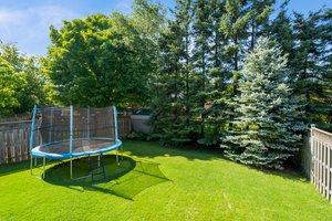  194 Franklyn St, Shelburne, ON L0N 1S4, US Photo 32