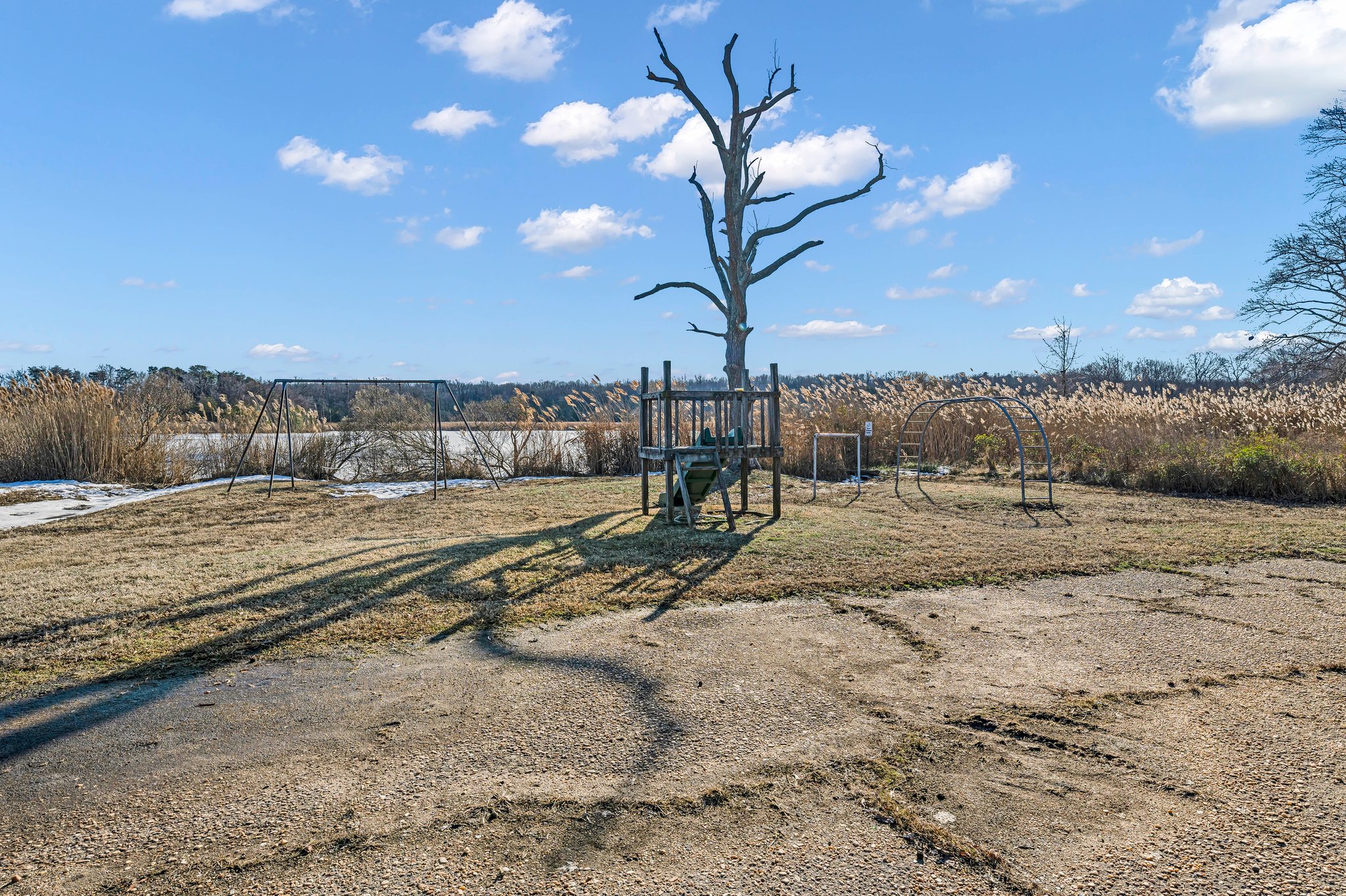  Photo 44