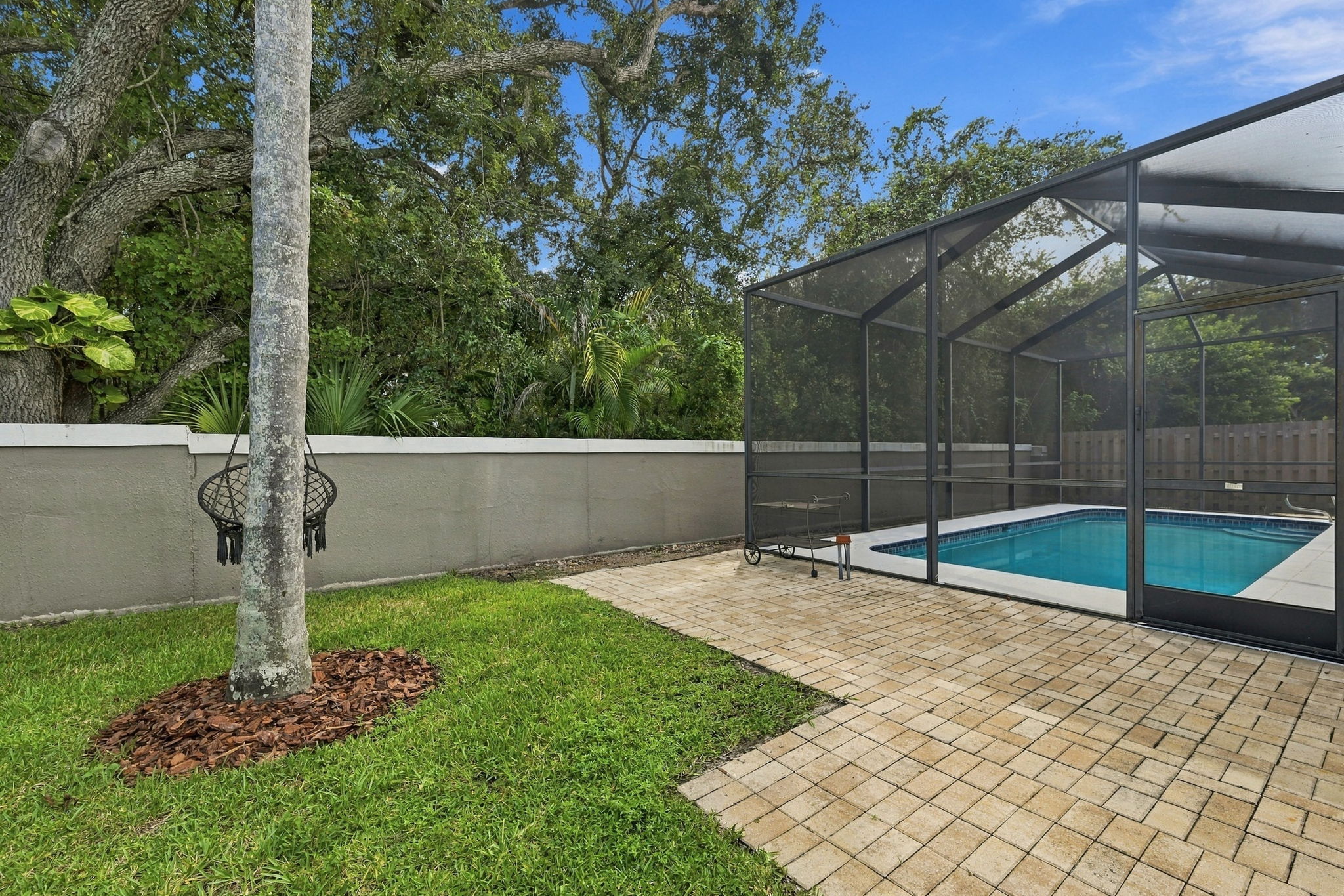 Backyard1