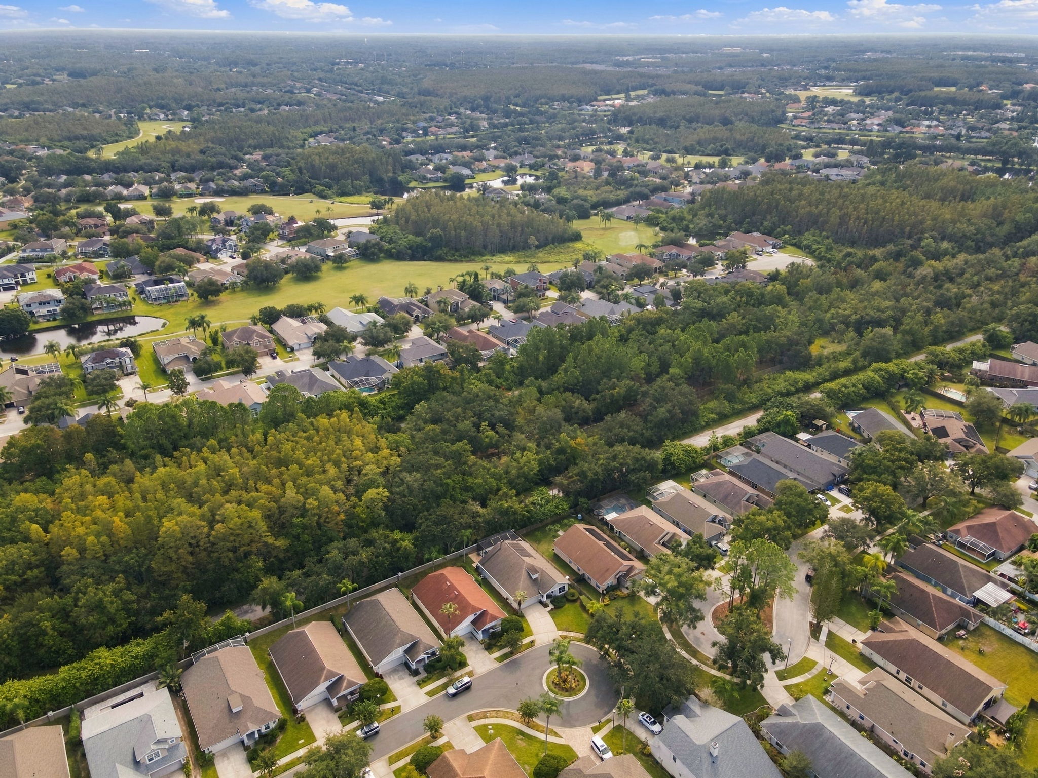 Aerial (15)
