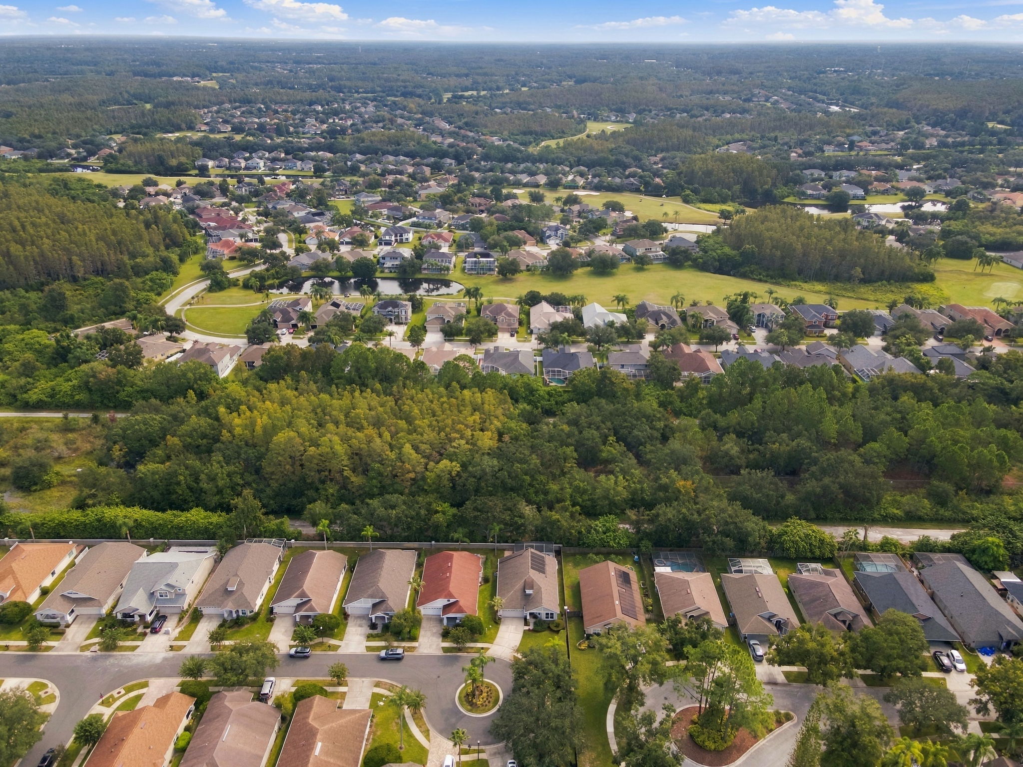 Aerial (16)