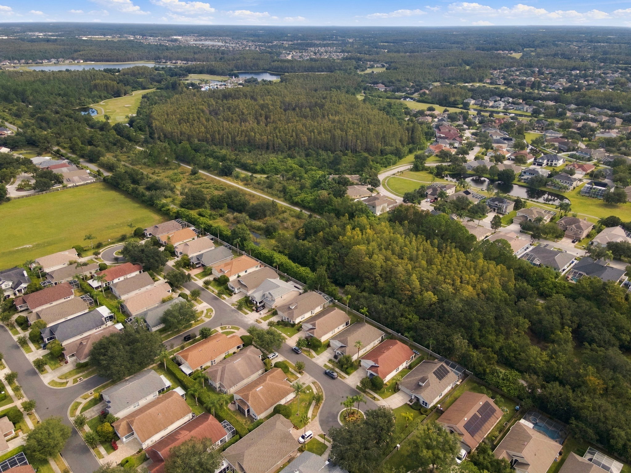 Aerial (17)