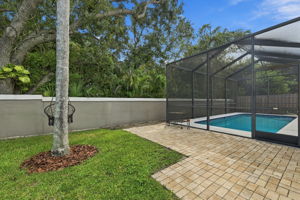 Backyard1