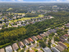 Aerial (15)