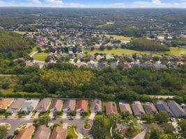 Aerial (16)