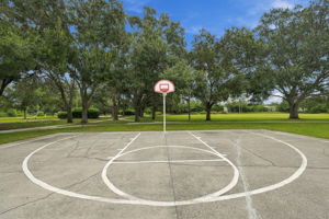 26-Park