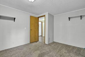  Photo 50