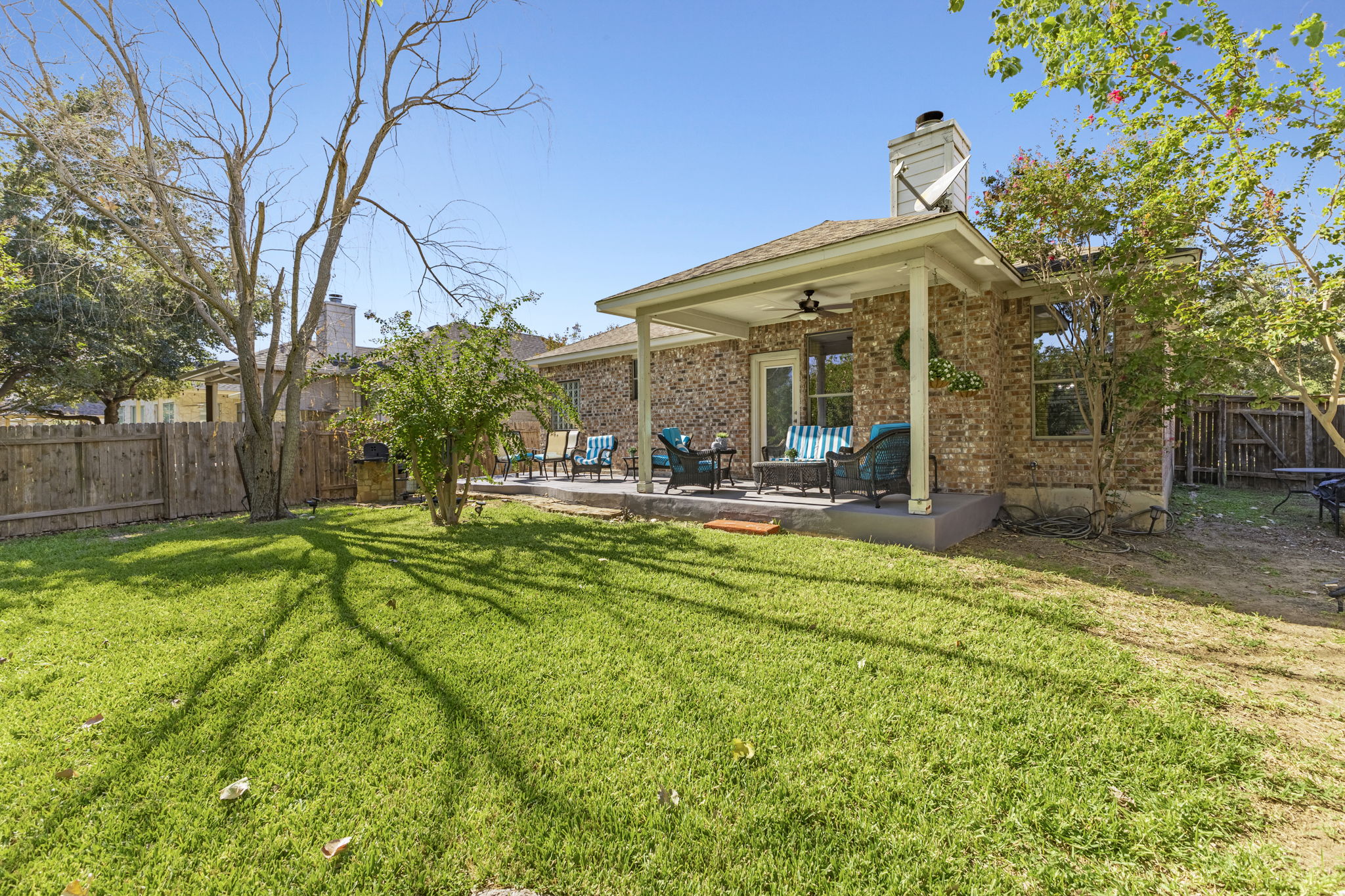 Back Yard