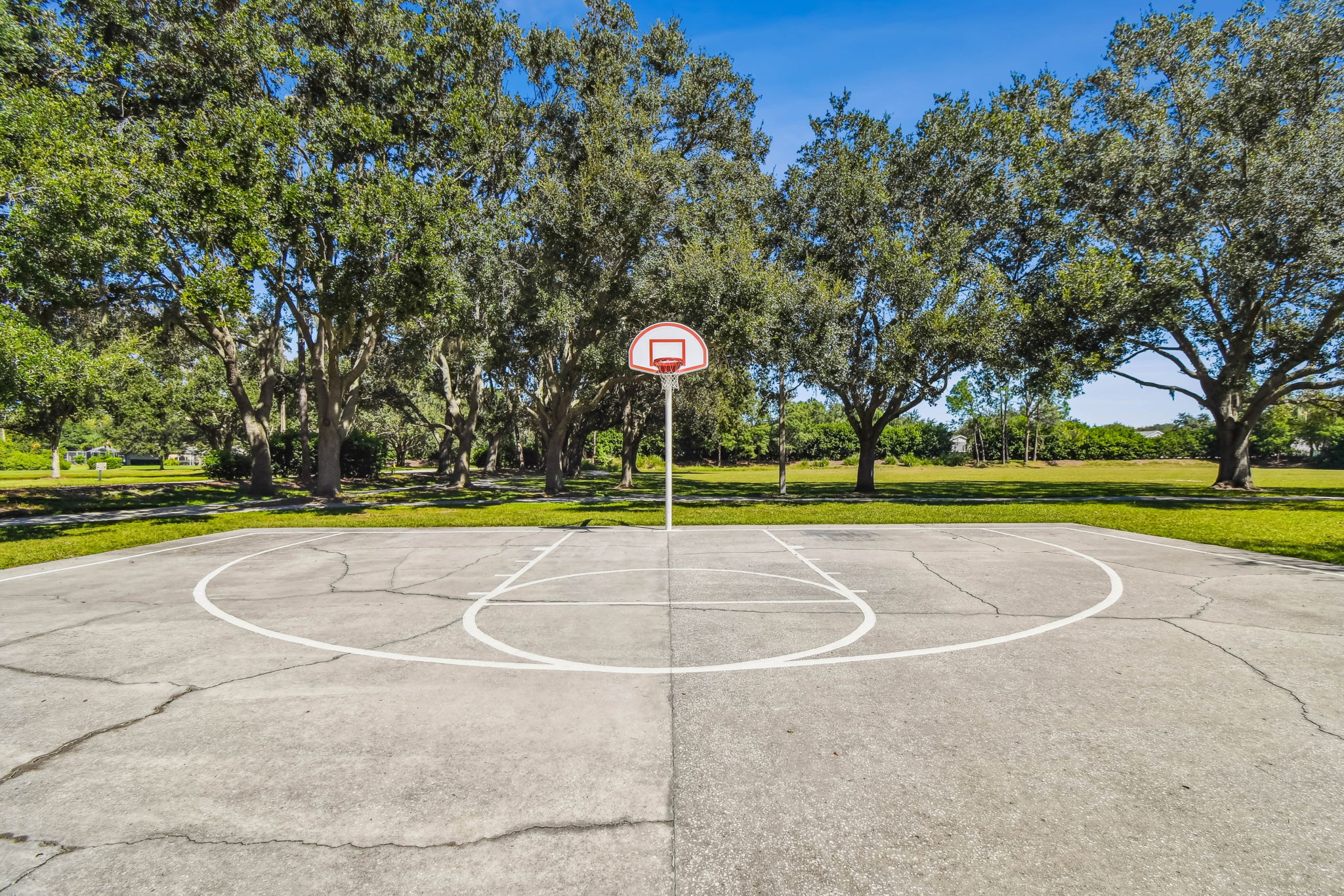 DSC_9602