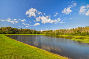  Photo 123